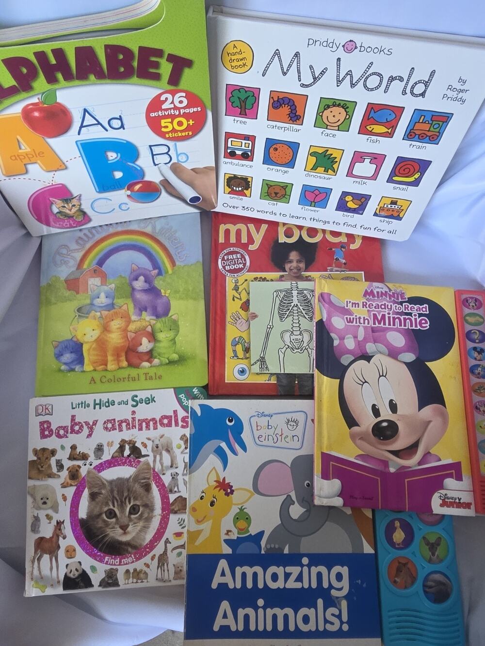Roger Priddy My World Board Book Illustrated Learning Words Ages 2-3